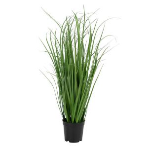 House Nordic Plante artificielle Poa Green - Hauteur 68 cm, Diamètre 30 cm