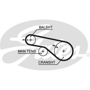 Gates Courroie de distribution 5570XS
