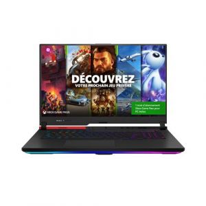 Asus PC portable STRIX G17 G713QR-HG016T