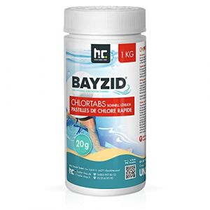 Höfer Chemie 1 x 1 kg de pastilles de chlore (20g) à dissolution rapide avec 56% de chlore actif pour piscines et bassins