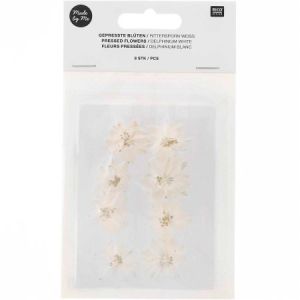 Rico Design Fleurs pressées - Delphinium blanc - Ø 2,5 cm - 8 pcs