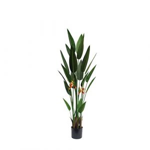 Plante décorative DKD Home Decor 60 x 60 x 160 cm Orange Vert polypropylène Tropical