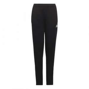 Adidas Unisex Kids Pants (1/1) Ent22 Tr Pnt Y, Black, HC0337, 176 EU
