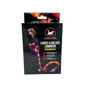 Venteo Laisse et Collier lumineux pour chien - LED Rechargeable USB - Résistant à l'eau - 3 modes d'éclairage