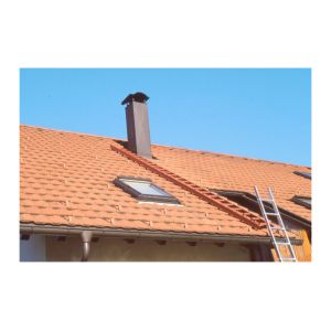 Echelle Direct Echelle de toit de couleur RAL 7016 anthracite 1.95m (7 &eacute;chelons)