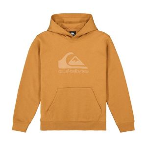 Quiksilver Sweatshirt à capuche garçon comp logo