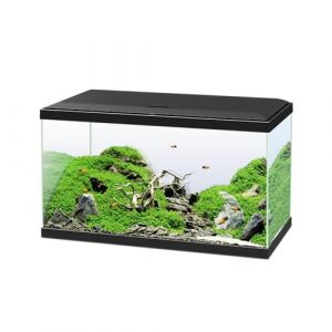 Ciano Aquarium 60 Noir, pour Poissons, Équipé d'un Filtre, Consommables, LED et Chauffage, 58L, Emballage Renforcé pour Envoi Web