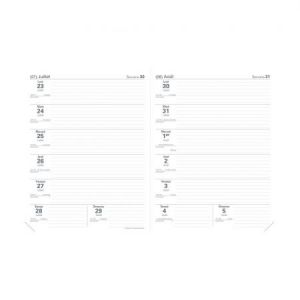 Quo Vadis 626045Q - Recharge pour agenda 21x27 Le Professeur FR