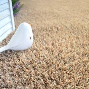 D&eacute;coweb Gazons naturels - Gazon synth&eacute;tique Arty - Couleur Beige - 20mm - 2m x 3m