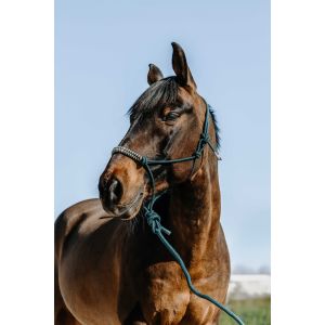 Norton clipper Ensemble licol et longe pour cheval Deco