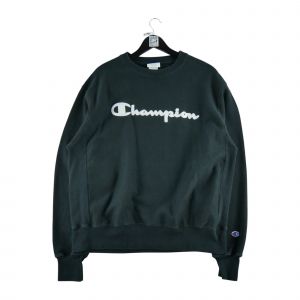 Champion Pull 281017