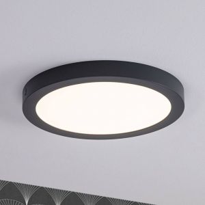 Image de Paulmann Panneau LED Abia, rond Ø 30cm, gris foncé