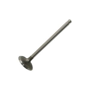 Febi Bilstein Soupape d'Admission PEUGEOT,CITROËN 181650 094891,94891,094891 Valve d'Admission 94891