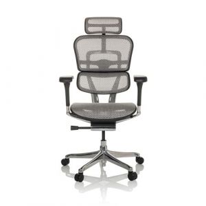 hjh OFFICE Chaise de Bureau Ergonomique ERGOHUMAN GEN2 Design Original, Fauteuil de Bureau avec Soutien Lombaire Flexible, Filet Gris Clair