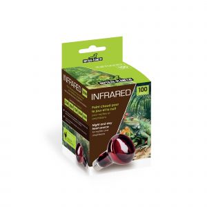 Reptiles Planet Ampoule Infrared 100 W