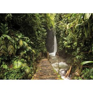 Ceanothe Tableau sur toile forêt tropicale 65x97 cm
