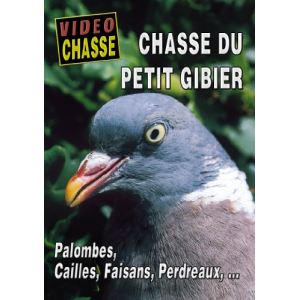 Chasse du petit gibier