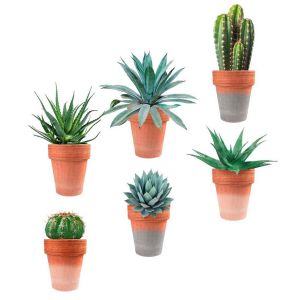 STC Autocollant Mural Pots de Plantes