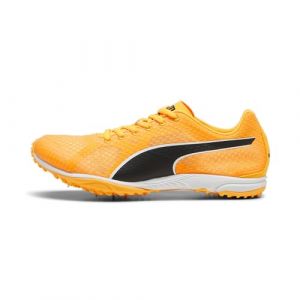 Puma Evospeed Haraka 8 Unisex Track and Field Shoe, Sun Stream Black White, 39 EU