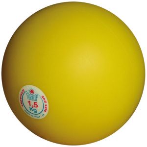 Trial Poids à lancer en salle