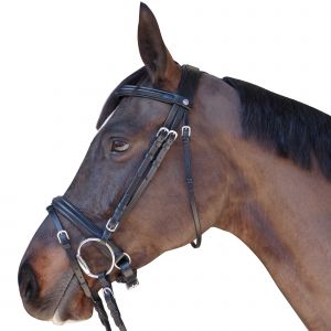 Bridon équitation Privilège Canter Euro - Pull Back