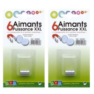 Graines Créatives 12 mini aimants extra-forts