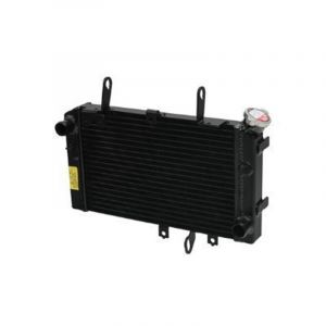 Brazoline Radiateur moto Suzuki V-strom 650 (2012-2020)