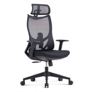 Waytex Fauteuil de bureau maille respirante avec Accoudoirs réglables, Appui-tête et Soutien Lombaire réglables