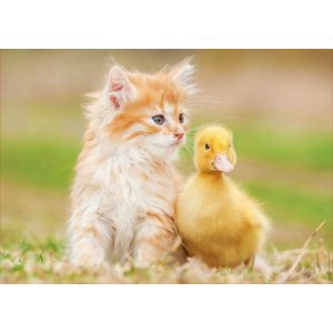 Image de Educa Puzzle 500 pièces : Adorables amis