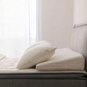 Coussin cale Dos Pupitre Mousse - 120 cm - Traversin mousse polyuréthane - Confort ferme - Housse 100% coton - Dreamway