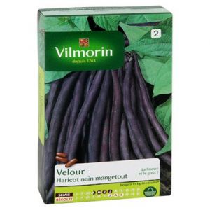 Vilmorin Haricot velour - Boîte de 200 g