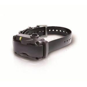 Image de Dogtra YS600 - Collier Anti-aboiement Rechargeable (L)