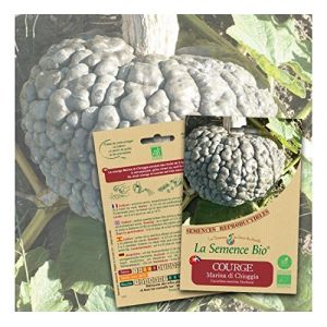 La Semence Bio Graines bio - Courge marina di chioggia 12gn graines biologique