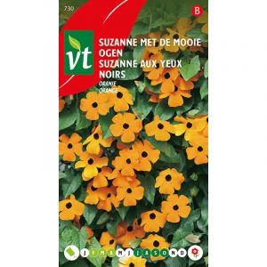 Image de Suzanne Aux Yeux Noirs - Ca. 0,75 gr (Livraison Gratuite)