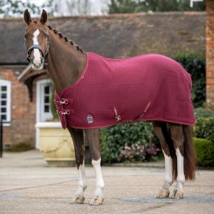 Lemieux Couverture d'écurie pour cheval Arika Clima-Tek