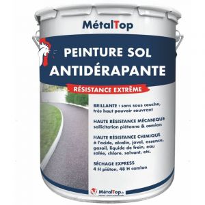 Peinture Antiderapante - Gris platine - RAL 7036 - Pot 1L