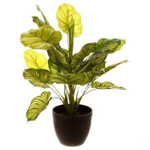 Atmosphera Plante verte H45voir