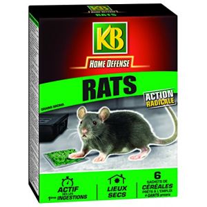 KB Raticide céréales action radicale prêt à l'emploi Home Defense - 6 sachets 25 g - Vert