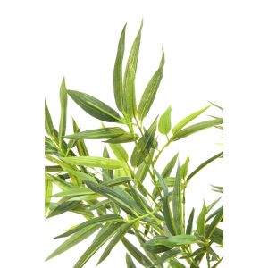 Kare Design Plante décorative Bamboo Tree 200cm
