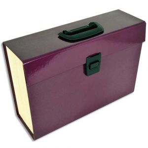 Clémentina Frog Trieur Premium Pierre henry - en carton renforcé - 20 compartiments - aubergine