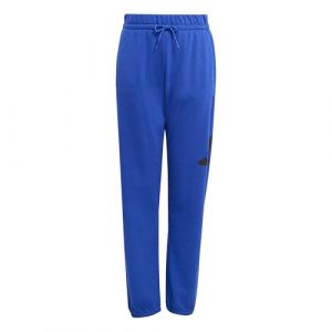 Adidas Mixte Enfant Essentials BIG Logo Pants, Team Royal Blue/Black, 9-10 Years