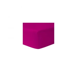 Univers décor Drap housse 90 x 190 cm 100% coton / 57 fils/cm² (Fushia, Drap housse 90 x 190 cm)