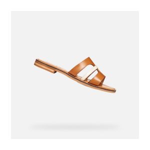 Geox D Maddalusiac - 36