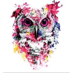 Peinture au numéro : Chouette rose moderne - toile tendue sur châssis