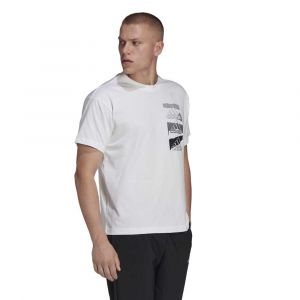 Adidas T-shirt Manche Courte Bl Q2 L White