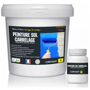 Image de Arcane industries Peinture Sol Carrelage - Ral 7047 Telegris 4 - Kit 1 Kg jusqu'a 5m² pour 2 couches