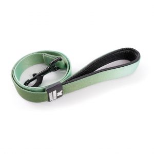 Martin Sellier Laisse pour chien nylon XS