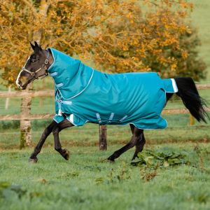 Couverture d'extérieur pour cheval avec couvre-cou Horseware Amigo Bravo 12 Plus T/O 400g