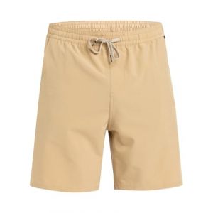Quiksilver Maillot de bain Taxer Amphibian 18 beige - L