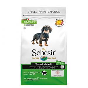 Schesir Aliments secs pour Chiens Adultes de Petite Taille, Ligne de Maintien au go&ucirc;t de l'agneau croquettes - Sac de 2 kg